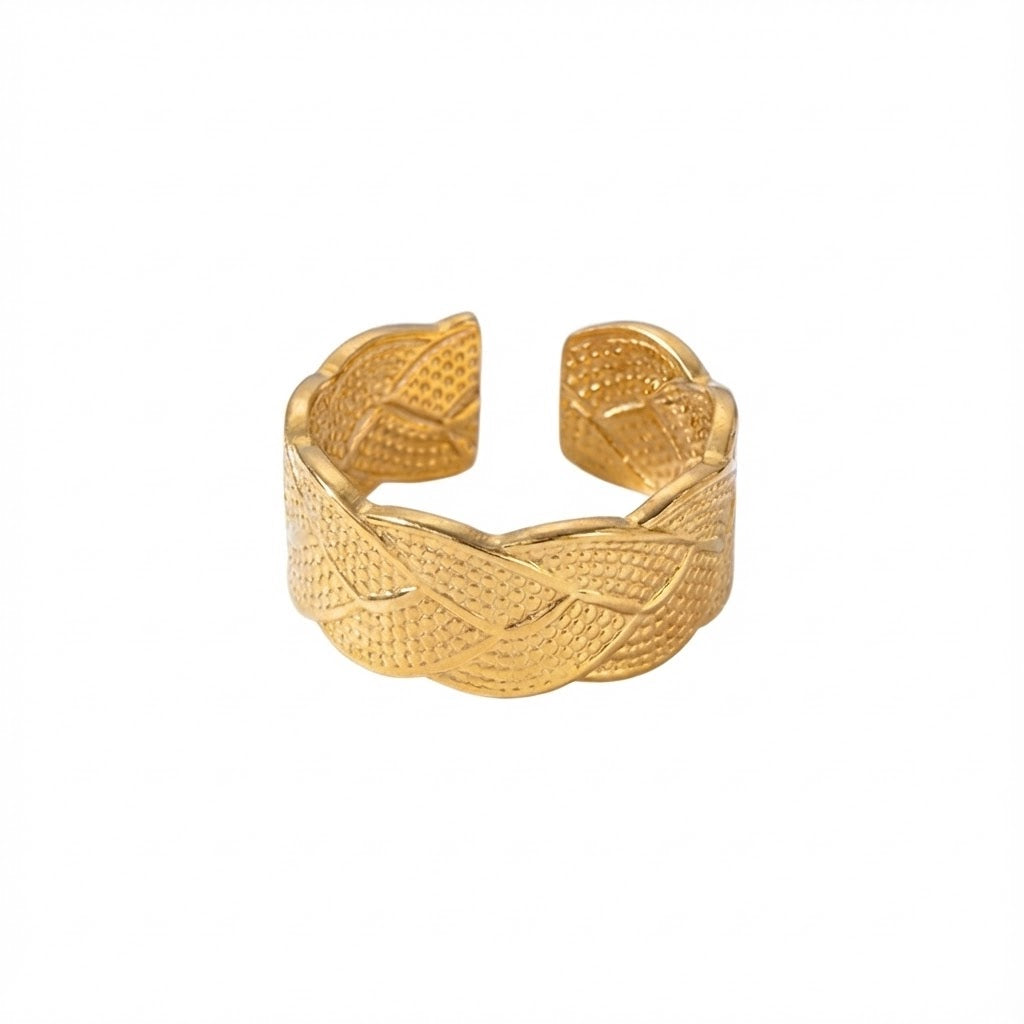Anillo Noa